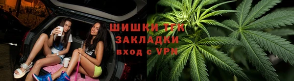 крисы Бронницы
