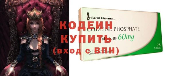 индика Бородино