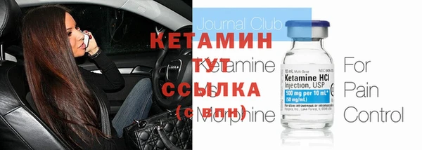 индика Бородино