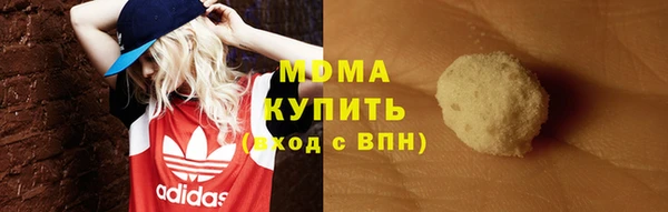 индика Бородино