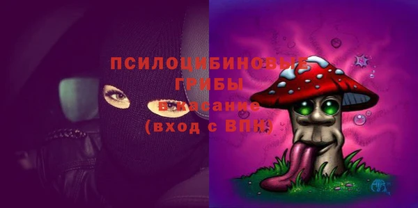 индика Бородино