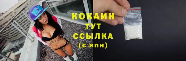 крисы Бронницы