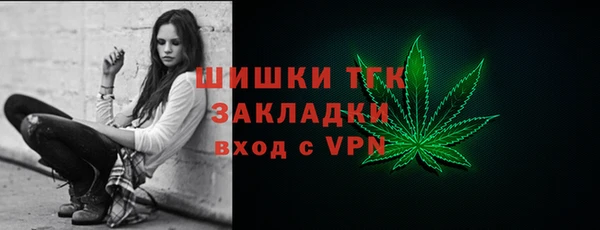 индика Бородино