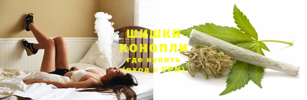 крисы Бронницы