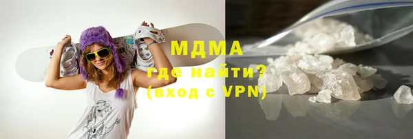 индика Бородино
