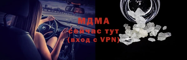 индика Бородино