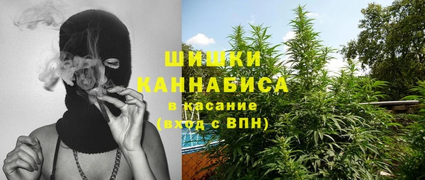 крисы Бронницы