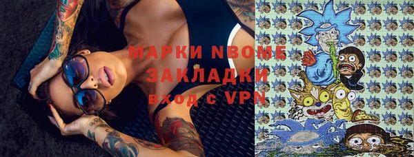индика Бородино