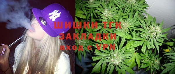 индика Бородино