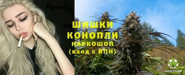 крисы Бронницы