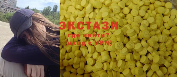 индика Бородино