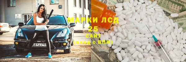 индика Бородино
