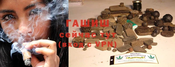 индика Бородино