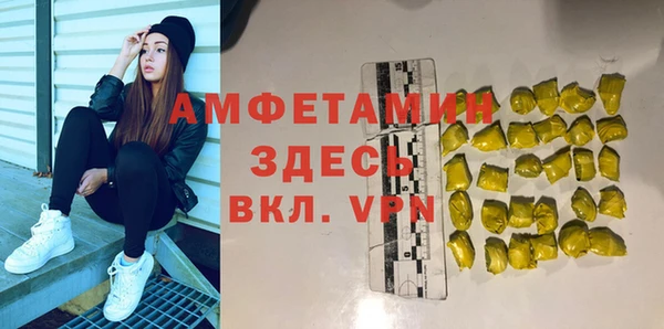 индика Бородино